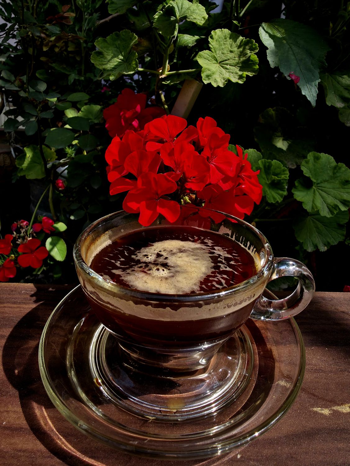 Black coffee in a glass cup beside red geraniums